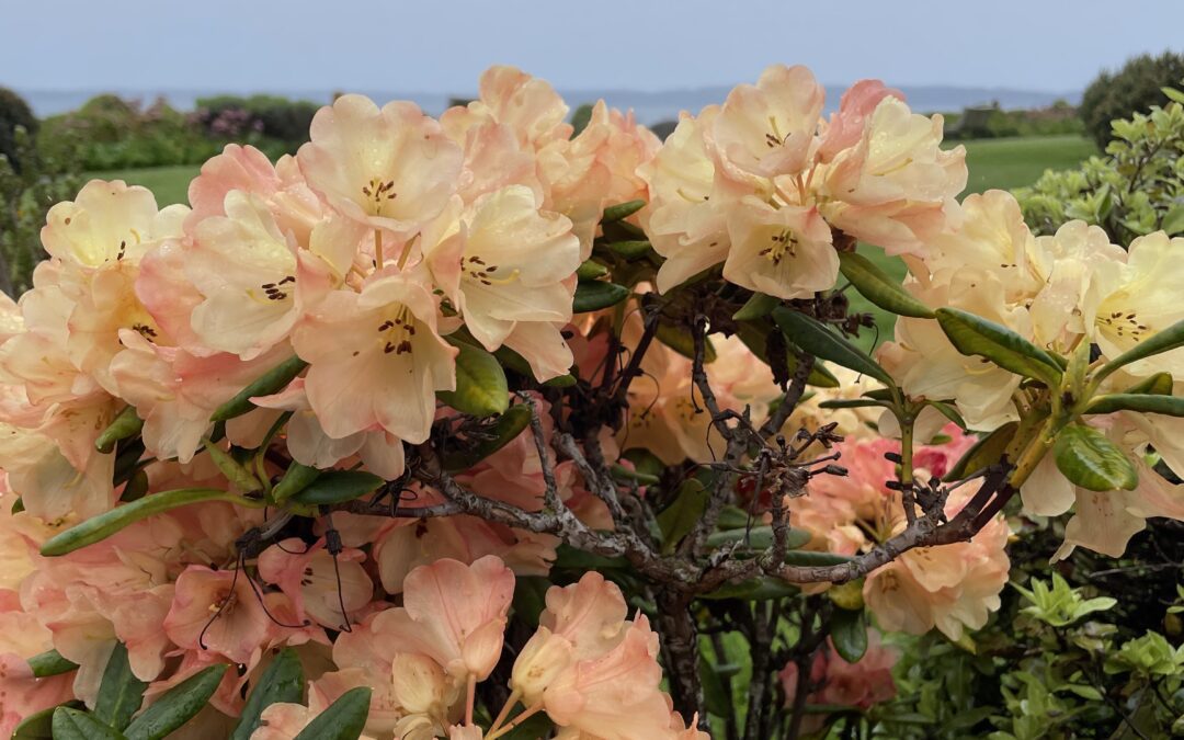 How To Make Your Nonprofit Job Application Stand Out