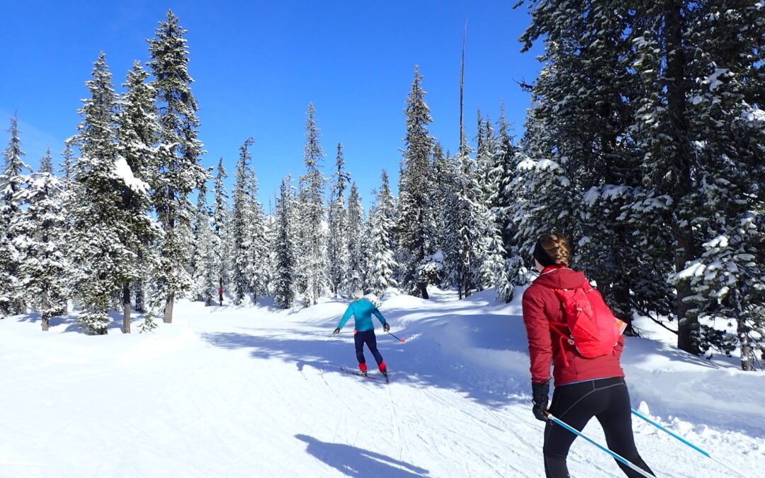 How To Fake a Blister