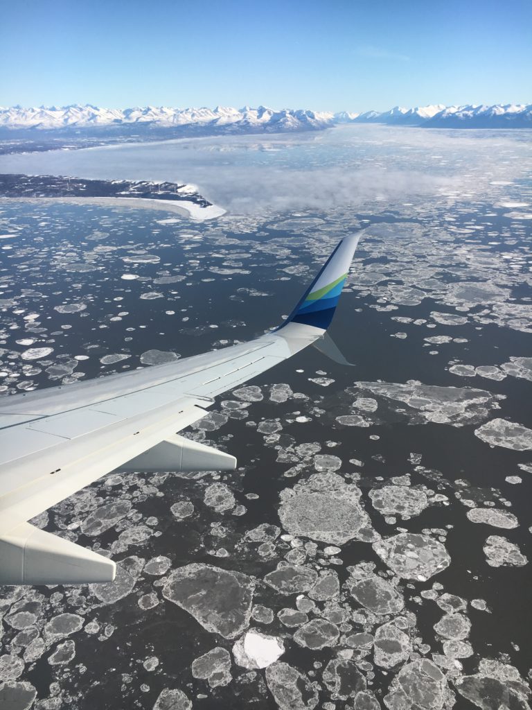 Pancake ice as seen from the air, Alaska.