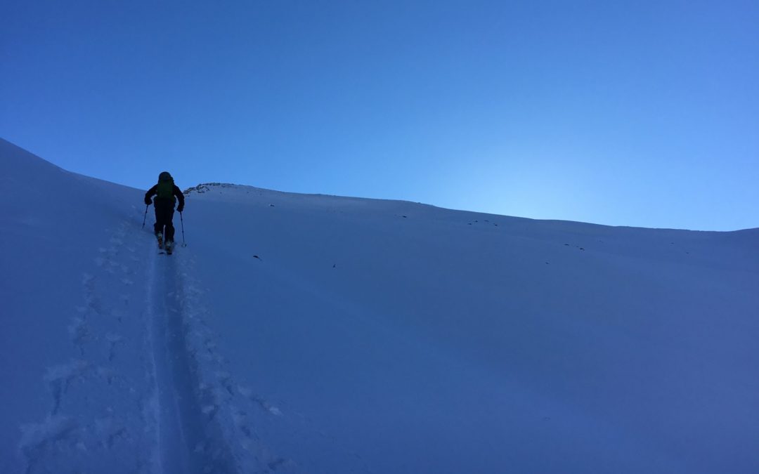 A snowy, blue slope leads up to a horizon line, with a backcountry skier working their way up the skin track.