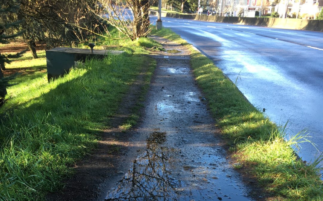 A muddy pathway flanked by green grass on both side, with a three lane road on the right.