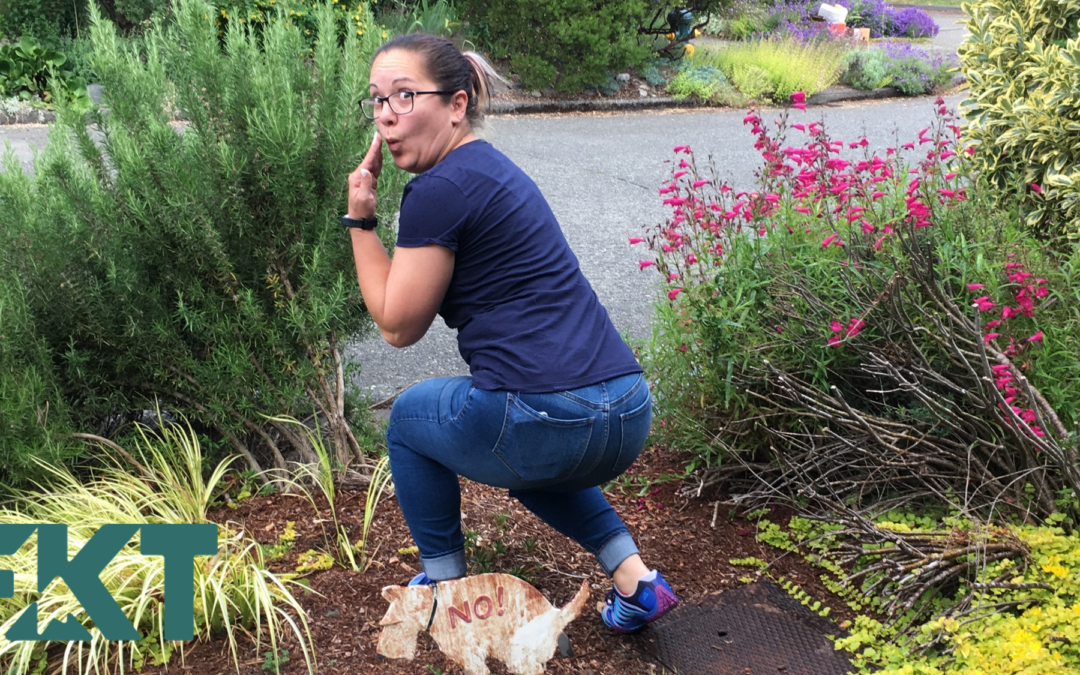 A woman wearing a blue shirt and bluejeans squats over the statue of a squatting dog that say "no" in an outdoor garden, mimicking pooping on the park stril=p.