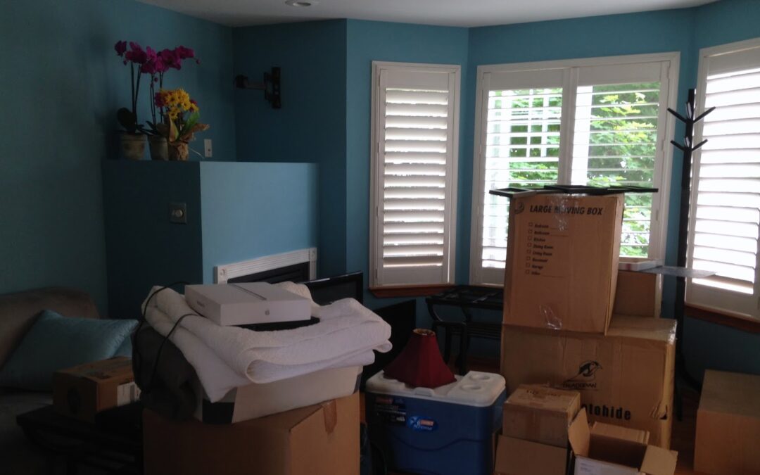 A turquoise living room full of boxes for a move.