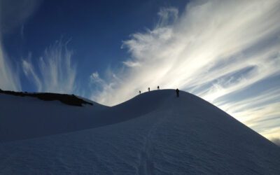 Top 10 Most Read Posts This Year