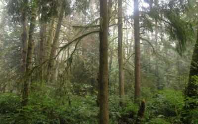 How To Be A Beginner