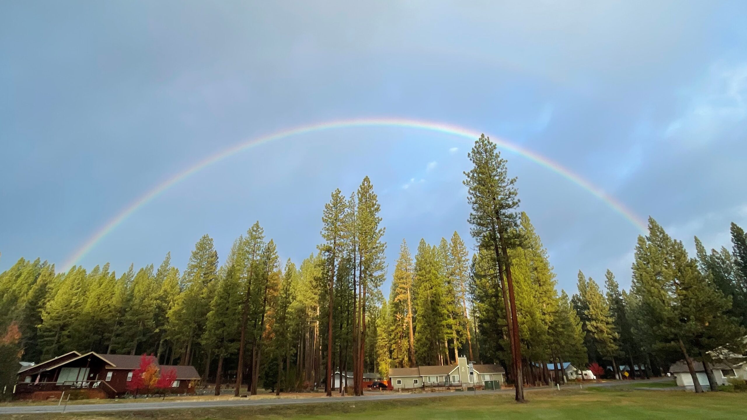A rainbow towers above large evergreen trees above a rural neighborhood. Representing a double rainbow baby after struggles with PCOS and infertility.