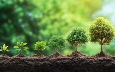 My Journey to Emotional Intelligence: When Being Good Isn’t Enough